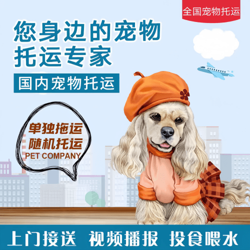满财佛山宠物全球达宠物托运作为专业的宠物运输代理机构